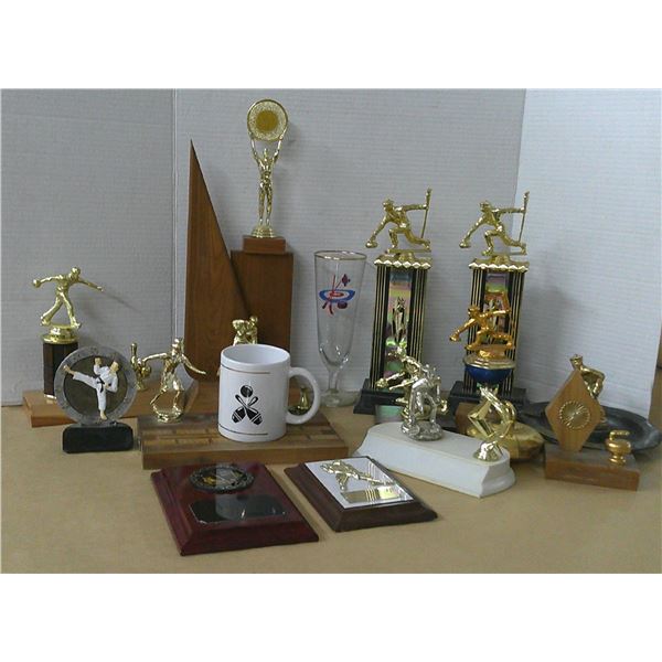 bowling, curling, and hockey trophies + two cups
