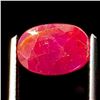 Image 2 : 2.75 ct certified untreated ruby gemstone ($9,625 appraisal)