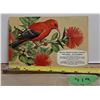 Image 2 : tropical birds Brooke bond tea cards album. (full)