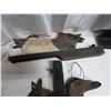 Image 3 : Antique duck decoys