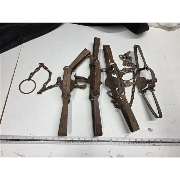 4 Animal traps