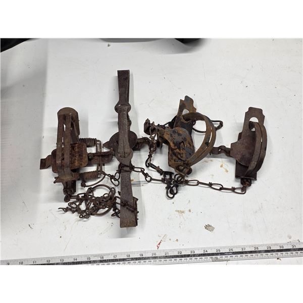 4 Animal traps