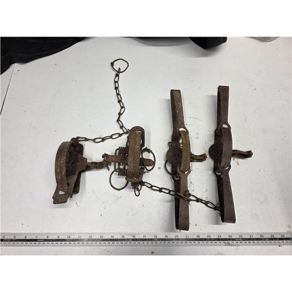 4 Animal traps