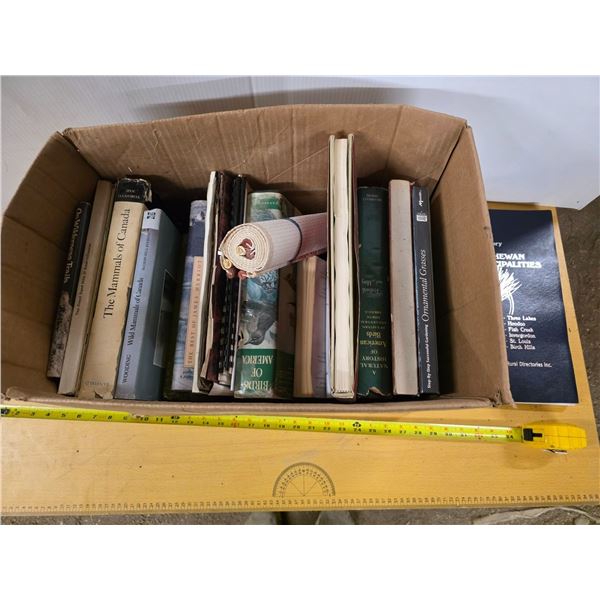 Lot of vintage books