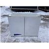 Image 1 : VINTAGE METAL WALL PARTS CABINET (WHITE)