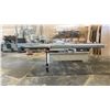 Image 1 : SCM MODEL SI 350N PROFESSIONAL 10FT SLIDING TABLE SAW