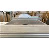 Image 6 : SCM MODEL SI 350N PROFESSIONAL 10FT SLIDING TABLE SAW