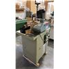 Image 2 : MINI MAX T40 WOOD SHAPER MACHINE WITH CANTEK 8 SPEED POWER FEEDER