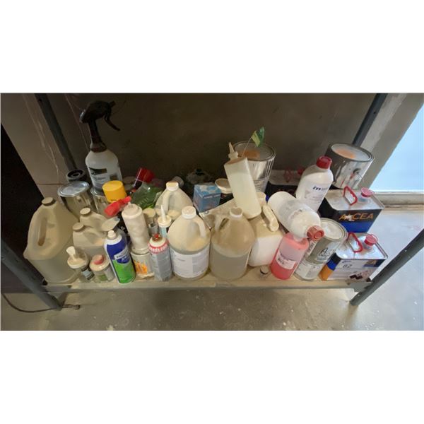 SHELF OF ASSORTED PAINTS, CLEANERS, COMPOUNDS AND OTHER CHEMICAL PRODUCTS