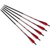 Image 1 : NEW BARNETT 5 CARBON ARROWS 22" SHAFT HEADHUNTER