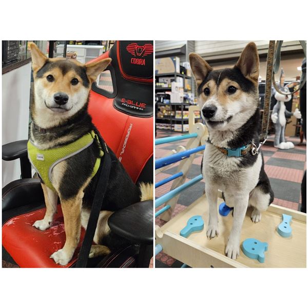 KASTNER AUCTIONS WISHES YOU A VERY HAPPY NEW YEAR!