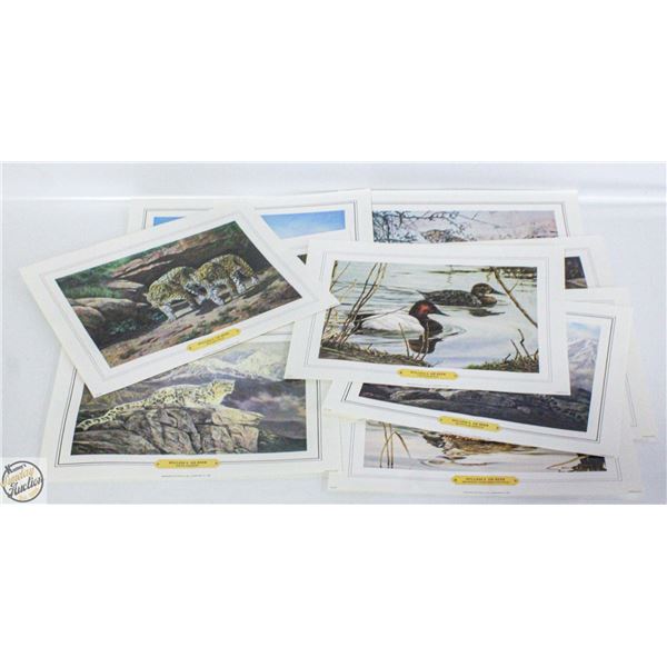 LOT OF 12 BERNARD PRINTS