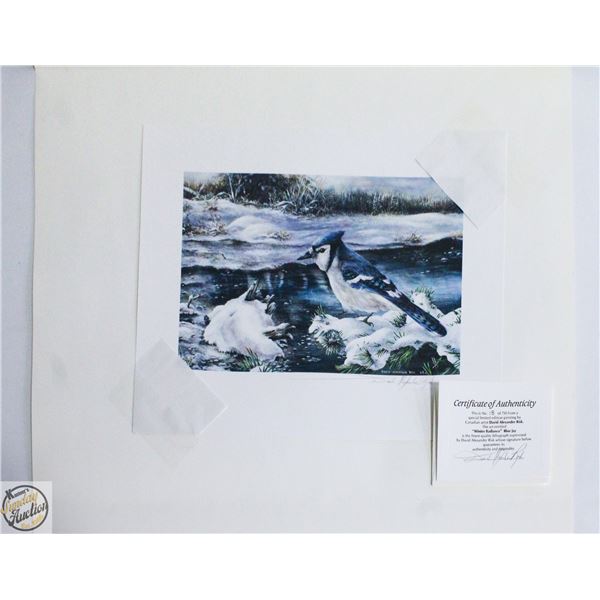 "WINTER RADIANCE" BY DAVID RISK #18/750