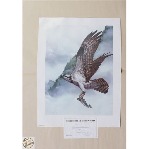 "OSPREY" BY LUKE RAFFIN #164/395