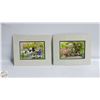 Image 1 : PAIR OF PRINTS