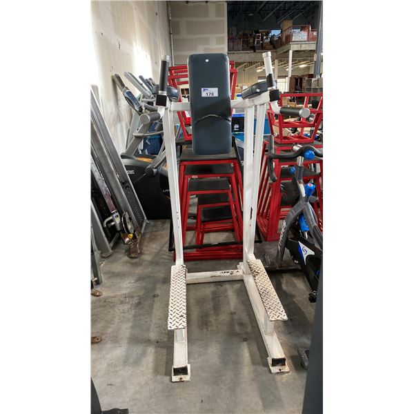 APEX VERTICAL KNEE RAISE AND DIP STATION