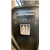 Image 2 : LIFE FITNESS AB CRUNCH