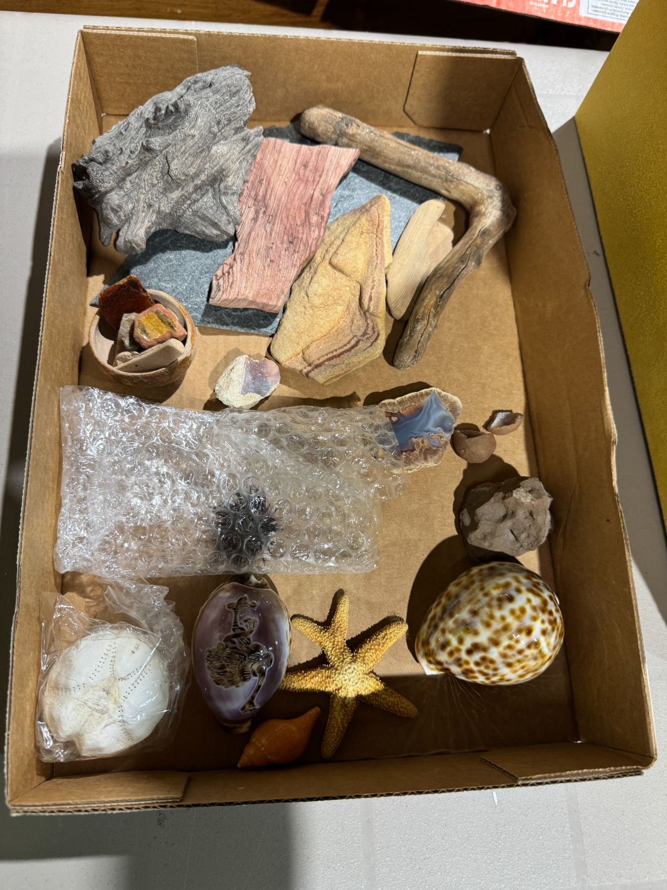 Beach themed items