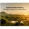 Image 1 : AFRICA SONGIMVELO NATURE RESERVE WORLD HERITAGE 7 DAY 2 HUNTERS $7,000 TROPHY FEES