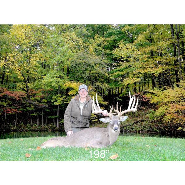 FIVE STAR OHIO WHITETAIL HUNT FOR TWO HUNTERS