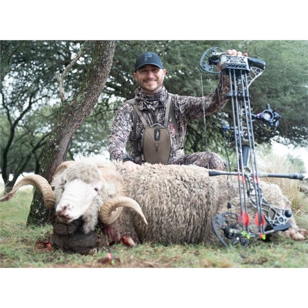 ARGENTINA 5 DAY BIG GAME HUNT 4 HUNTERS INCLUDING 4 TROPHY FEES, LAS PAMPAS PATAGONIA