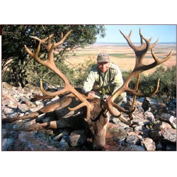 SPAIN IBERIAN RED STAG 3 DAYS 1 HUNTER