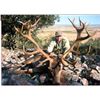 Image 1 : SPAIN IBERIAN RED STAG 3 DAYS 1 HUNTER