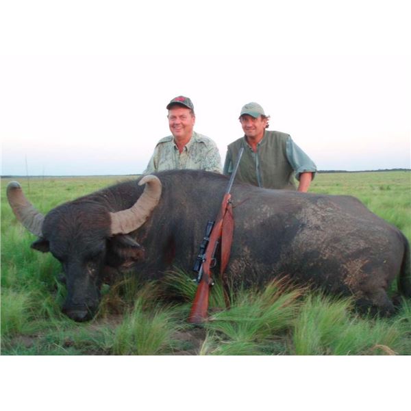 AGENTINA WATER BUFFALO FREE RANGE FOR ! HUNTER 5 DAYS 4 NIGHTS