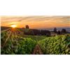 Image 3 : OREGON WINE COUNTRY 3 NIGHTS 2 GUESTS