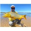 Image 15 : ARGENTINA 4 HUNTERS 4 DAYS   1 DAY GOLDEN DORADO 4 HUNTER/ANGLERS, 4 WILD BOAR, NORTHERN TERRITORY