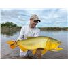 Image 1 : ARGENTINA 4 HUNTERS 4 DAYS   1 DAY GOLDEN DORADO 4 HUNTER/ANGLERS, 4 WILD BOAR, NORTHERN TERRITORY