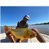 Image 4 : ARGENTINA 4 HUNTERS 4 DAYS   1 DAY GOLDEN DORADO 4 HUNTER/ANGLERS, 4 WILD BOAR, NORTHERN TERRITORY