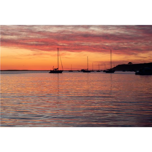 HALF MOON BAY DEEP SEA FISHING FULL BOAT UP TO 6 FISHERS