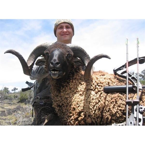 MOLOKA'I HAWAII 1 DAY GUIDED HUNT