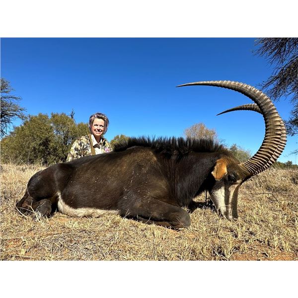 AFRICA 6 DAYS 2 HUNTERS TROPHIES INCLUDING SABLE