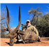 Image 9 : AFRICA 6 DAYS 2 HUNTERS TROPHIES INCLUDING SABLE