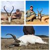 Image 4 : AFRICA 6 DAYS 4 HUNTERS 12 TROPHIES