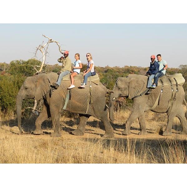 AFRICA RSA 7 HUNTING DAYS 1 HUNTER $3,00 CREDIT TOWARDS ROAN OR SABLE