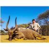 Image 9 : AFRICA RSA 7 HUNTING DAYS 1 HUNTER $3,00 CREDIT TOWARDS ROAN OR SABLE