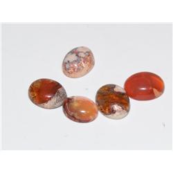 6.5ctw Mexican Fire Opal