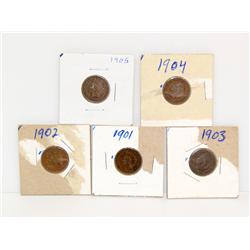 Indian Head Pennies (Times the Money)