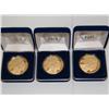 Image 1 : 24K Gold 2009 Buffalo Nickel Copy