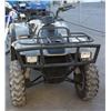 Image 2 : Linhai Four Wheeler