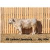 Image 1 : 2 Year-Old Charolais Bull - JGL 95M