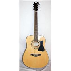 Ibanez  Acoutic Guitar