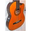Image 2 : Samick Classical Acoustic and Electric Guitar