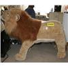 Image 1 : PLUSHED LION