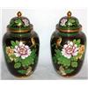Image 1 : Set of Cloisonne Asian Urns 9" Tall