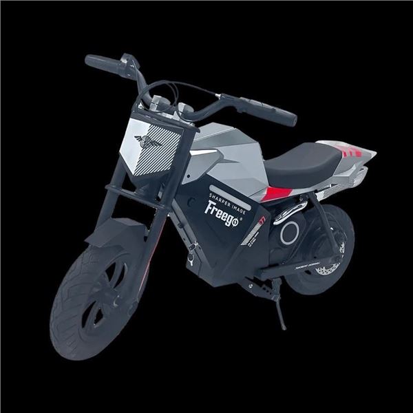 Freego K1 Kids Electric Motorbike with Rear Hub Motor
