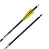 Image 1 : TENPOINT PRO ELITE 400 CARBON ARROWS 20" WHITE